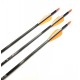 Стрела для лука Sportstrelok ACTIVE Carbon 4.2мм